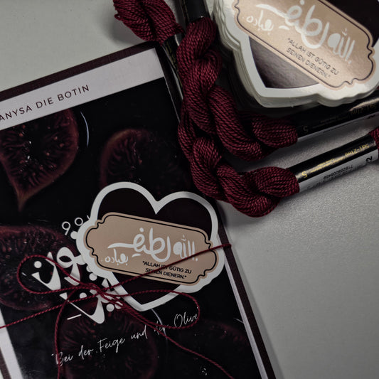 Anysa Die Botin - Mail Club